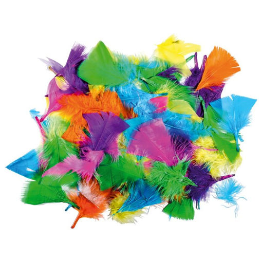 Picture of CRAFT FEATHERS ASSORTED COLOURS - 24 PACK